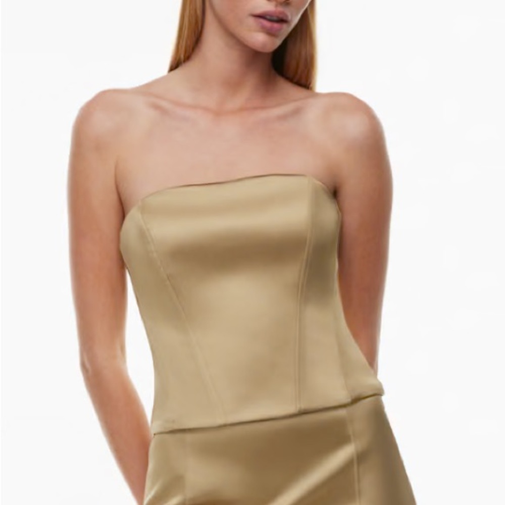 Aritzia Ten Top
